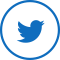 Twitter Icon